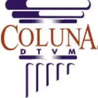 Coluna DTVM